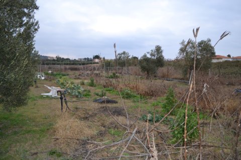 Земельный участок 1000м² в Полийирос, Греция №109636 5