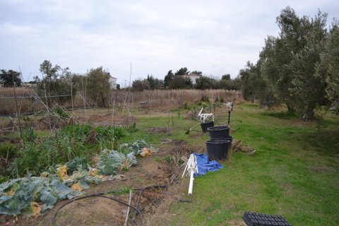 Земельный участок 1000м² в Полийирос, Греция №109636 4