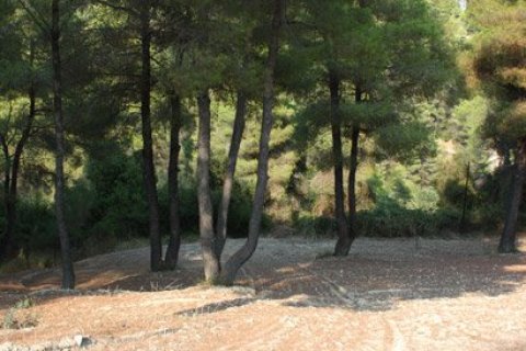 Вилла с 7 комнатами в Халкидики, Греция №60673 5