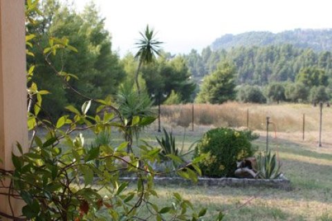 Вилла с 7 комнатами в Халкидики, Греция №60673 20