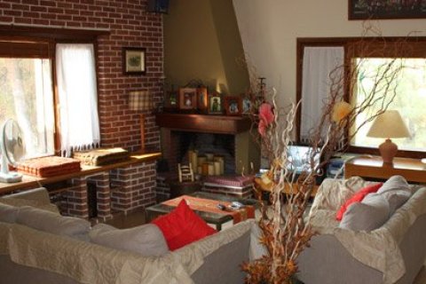 Вилла с 7 комнатами в Халкидики, Греция №60673 9