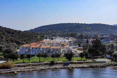 3 bedrooms Villa in Phuc Hoa, Vietnam No. 92501 3