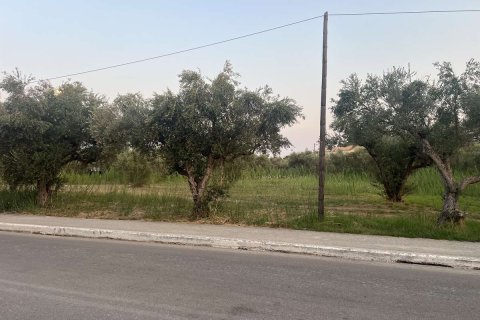 Земельный участок в Закинтос, Греция №84673 1