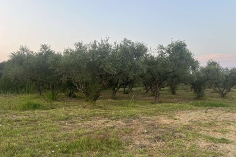 Земельный участок в Закинтос, Греция №84673 10