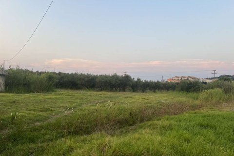 Земельный участок в Закинтос, Греция №84673 9