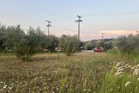 Земельный участок в Закинтос, Греция №84673 14