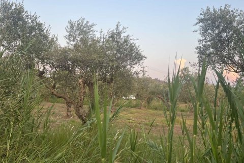 Земельный участок в Закинтос, Греция №84673 8