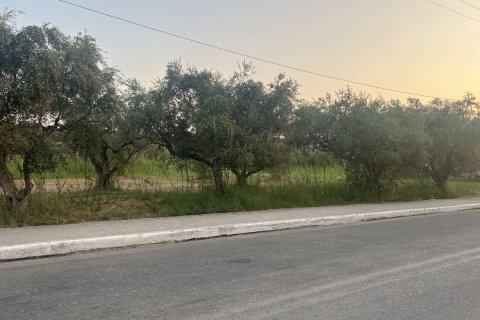 Земельный участок в Закинтос, Греция №84673 2