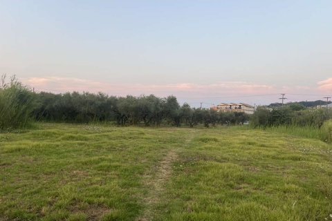 Земельный участок в Закинтос, Греция №84673 3