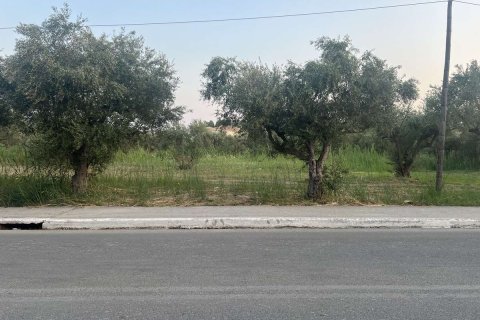 Земельный участок в Закинтос, Греция №84673 4