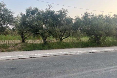 Земельный участок в Закинтос, Греция №84673 6