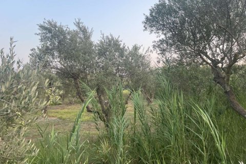 Земельный участок в Закинтос, Греция №84673 11