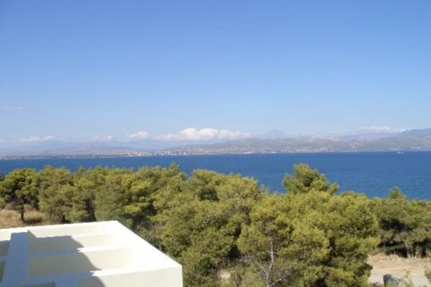 Apartamento tipo estudio Estudio en Boeotia, Greece No. 56597 5