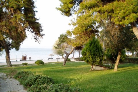 Apartamento tipo estudio Estudio en Boeotia, Greece No. 56597 9