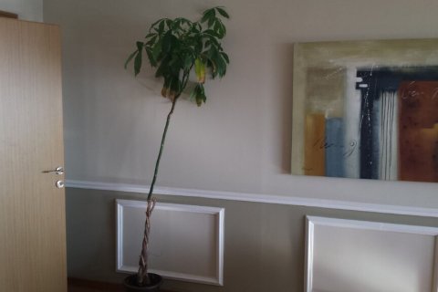 Коммерческая недвижимость 140м² в Салоники, Греция №108937 10