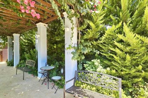 3 bedrooms Apartment in Limassol, Cyprus No. 103578 12