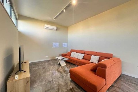 4 bedrooms Villa in Pegeia, Cyprus No. 84062 13