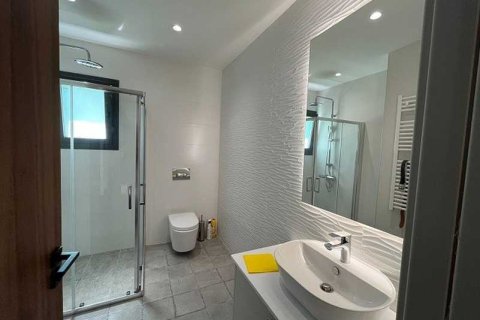 4 bedrooms Villa in Pegeia, Cyprus No. 84062 10