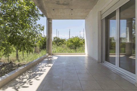 Дом с 3 спальнями в Катерини, Греция №109567 11