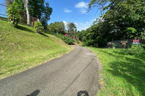 2118m² Land à Panama City, Panama No. 128016 5