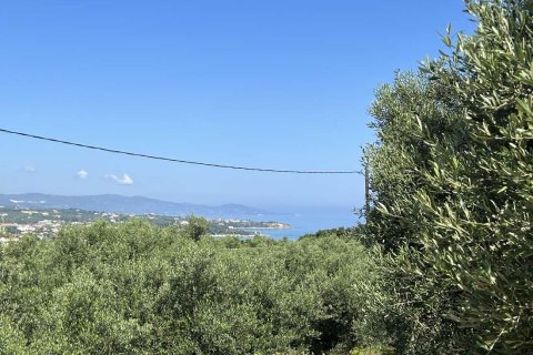 2 bedrooms Maisonette in Zakynthos, Greece No. 69529 22