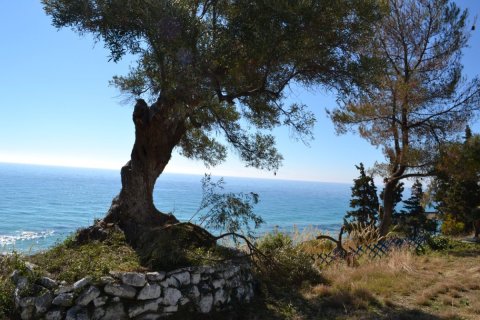 2 bedrooms Villa in Chalkidiki, Greece No. 49798 10