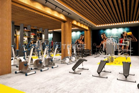 Пентхаус с 2 спальнями в Chau Lang, Вьетнам №23677 12