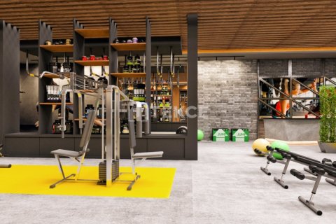 Пентхаус с 2 спальнями в Chau Lang, Вьетнам №23677 11