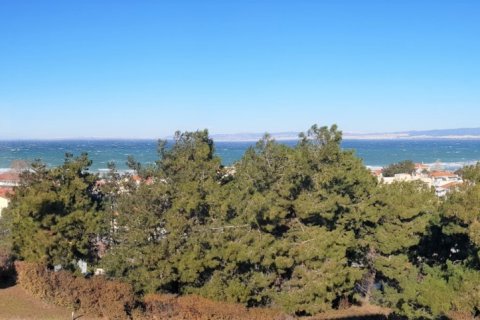 5 dormitorios Villa en Thermaic Gulf, Greece No. 57673 20