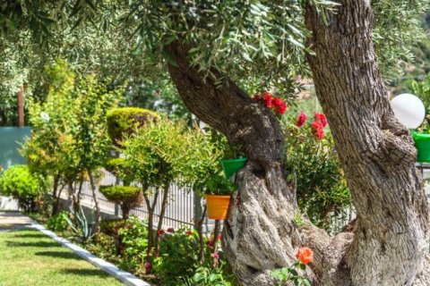 404m² Hotel à Thasos, Greece No. 109386 21