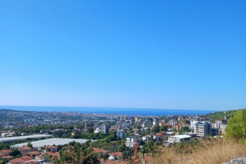 4 rooms Land in My Thanh, Vietnam No. 16373 3