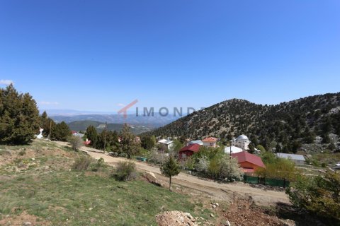 4 bedrooms Villa in Konyaalti, Turkey No. 17725