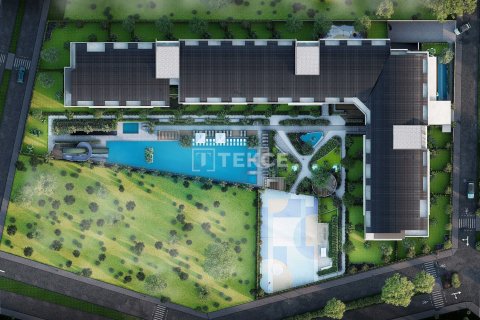 1 bedroom Apartment in Phu Tan, Vietnam No. 21537 3