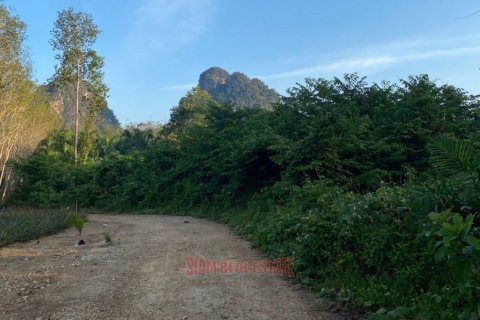 8252m² Land in Ao Nang, Thailand No. 97427 4