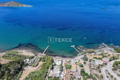 4 bedrooms Villa in Phi Dien, Vietnam No. 11069 15