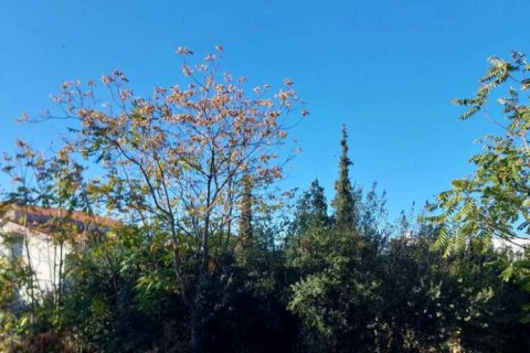 1056m² Land in Panorama, Greece No. 58003 4