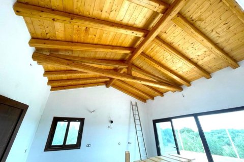 2 bedrooms Villa in Corfu, Greece No. 61646 7