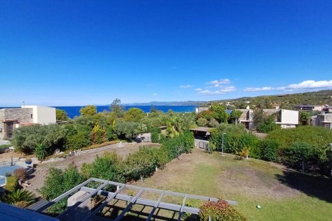 3 chambres House à Chalkidiki, Greece No. 109267 17