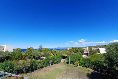 3 chambres House à Chalkidiki, Greece No. 109267 21