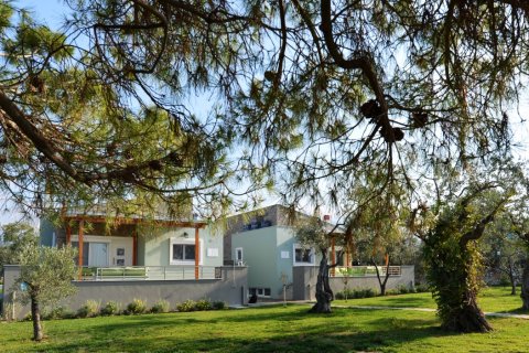 2 bedrooms Villa in Thasos, Greece No. 57801 29