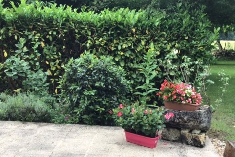 2 bedrooms House in Dordogne, France No. 69449 10