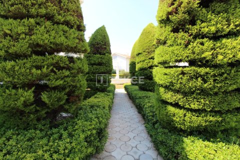 3 chambres Villa à Tan Xuan, Vietnam No. 92988 5