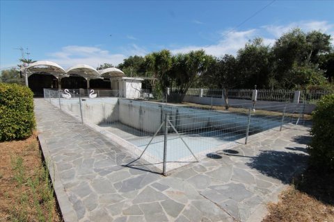 17 habitaciones Hotel en Corfu, Greece No. 58510 11