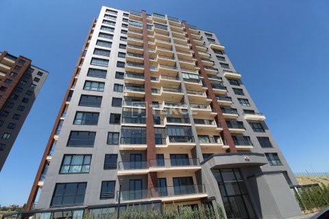 2 bedrooms Apartment in Quang Ngai, Vietnam No. 89669 11