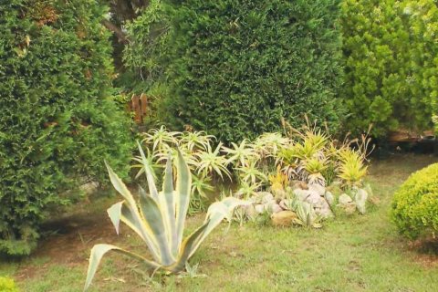 3 chambres House à Zakynthos, Greece No. 24546 2