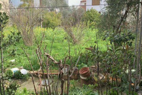 3 chambres House à Nicosia, Cyprus No. 31779 2