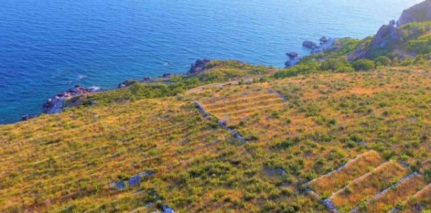8000m² Land in Budva, Montenegro No. 104774