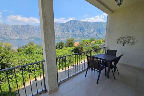 1 chambre Appartement à Kotor, Montenegro No. 104793 7