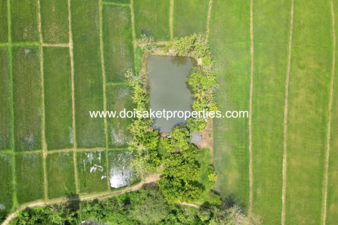 Land in Chiang Mai, Thailand No. 98141 3