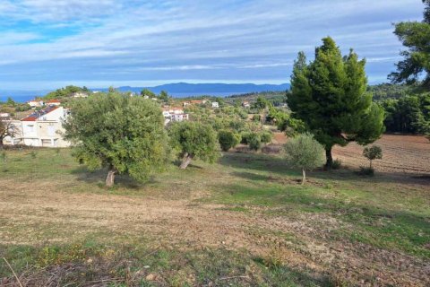 2822m² Land in Chalkidiki, Greece No. 108922 1